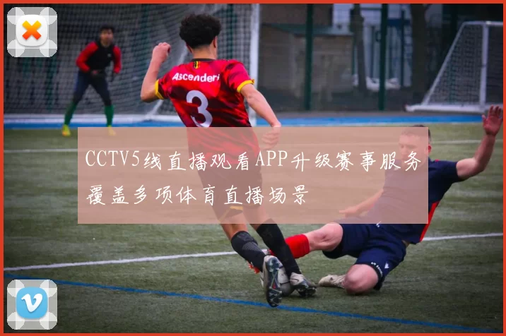 CCTV5线直播观看APP升级赛事服务覆盖多项体育直播场景