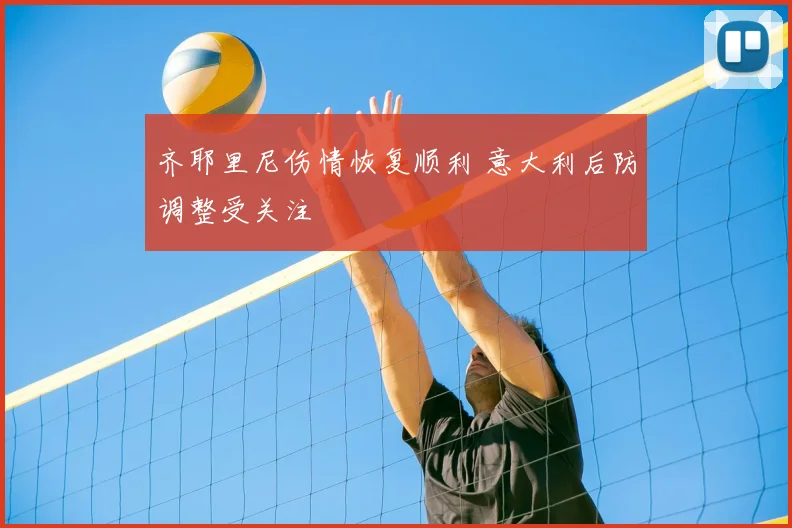 齐耶里尼伤情恢复顺利 意大利后防调整受关注
