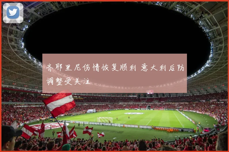 齐耶里尼伤情恢复顺利 意大利后防调整受关注